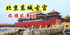 欧美性爱片20p中国北京-东城古宫旅游风景区